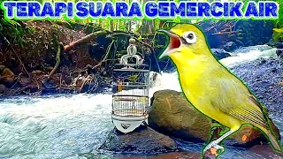 Download lagu TERAPI KECIAL KUNING SUARA AIR || UNTUK KECIAL MACET,BISU & MALAS BUNYI || Lombok Sasak tv mp3