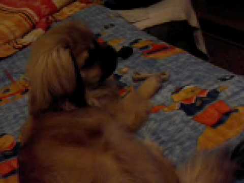 Ketu and the television