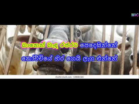 Banen Banda Rajarata Pedesinne karaoke without voice බානෙන් බැඳ රජරට පෙදෙසින්නේ