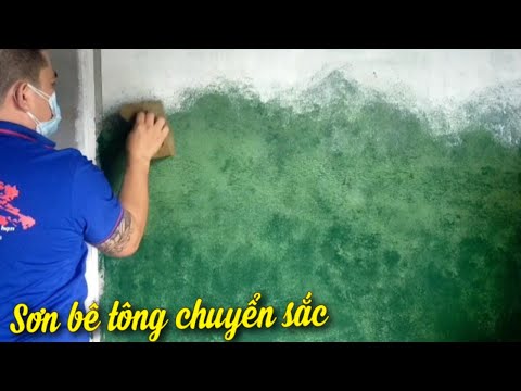 Sơn Hiệu Ứng Bê Tông - Cách Làm Sơn Hiệu Ứng Bê Tông Chuyển Sắc - Sơn bê tông saboro