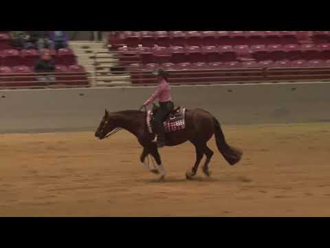 200222 Non Pro Cappy Dryden on Premier Magnum