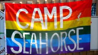 The Camp Seahorse Song!