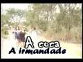 A Coca A Irmandade