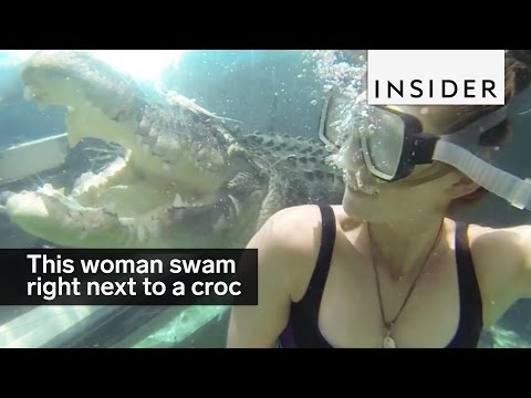 This woman is swimming inches away from a 17-foot crocodile