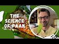 The Science of Paan