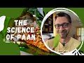 The Science Of Paan