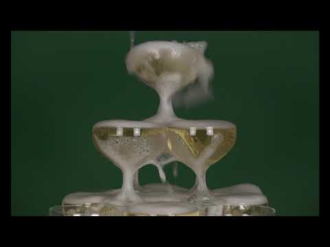 SPARKLING - Champagne