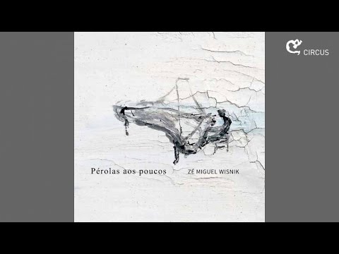 Zé Miguel Wisnik Ft. Luciana Alves - DNA (CD Pérolas aos Poucos)