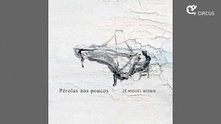 Zé Miguel Wisnik Ft. Luciana Alves - DNA (CD Pérolas aos Poucos)