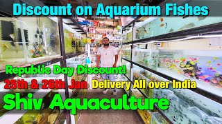 Discount Offer On Aquarium Fishes in Shiv Aquaculture in Pune I Delivery Available All Over India