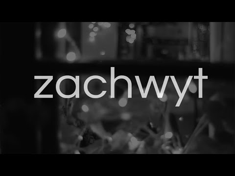 Jest'm - Zachwyt (In Awe Of You Polish Cover) (Official Video)