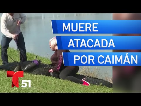 Mujer muere tras ser atacada por un caimán en Florida