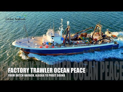 Factory Trawler Ocean Peace in Puget Sound | From Dutch Harbor, Alaska | Groundfish Fleet