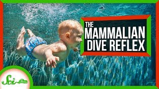 Why Is Being Underwater So Peaceful?