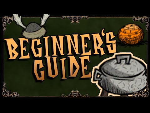 EASY Winter Preparation | Don't Starve Together Beginner's Guide Part 3