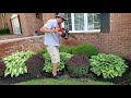Testing The ECHO HC 2020 Hedge Trimmer