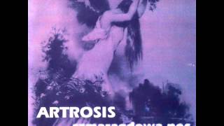 Artrosis - Szmaragdowa Noc (fortepian) [432 Hz]