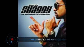 Shaggy - It Wasn&#39;t Me (DJ Markkinhos Extended Version)
