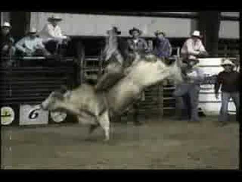 Randant and Lee Bucking Bulls - Pretty Boy Floyd