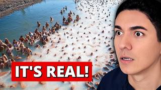 WHAT APPEARED IN THE DEAD SEA HAS LEFT THE WORLD IN SHOCK!