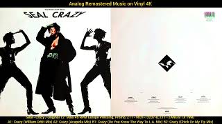 Seal - Crazy (The William Orbit Remix)(Acapella, Do You Know The Way To L.A., Chick On My Tip Mix)