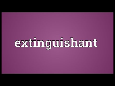 Extinguishant Meaning