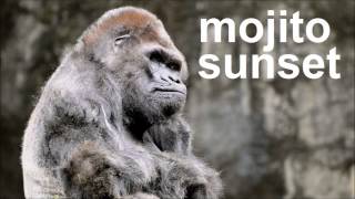 J-Dilla - Think Twice (Joe Kay's SLOWITDOWN4JAY Edit)