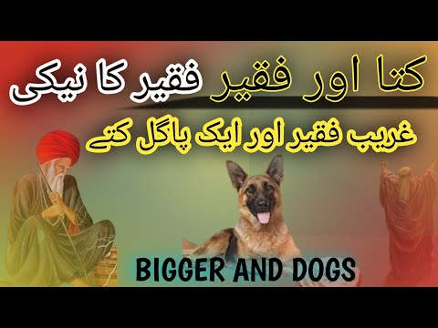 A BIGGER AND A DOG 🐕/FAQEER KA NAIKI/PAGAL KUTI AUR FAQEER/NAIKI KA SALAH/BIGGER HEART IS BIG/DOGS