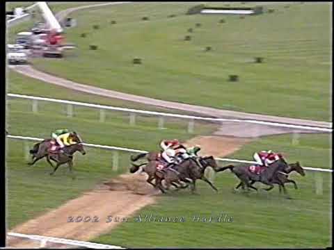 2002 Sun Alliance Novices' Hurdle Galileo