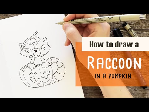 How To Draw A Cute Raccoon In A Pumpkin