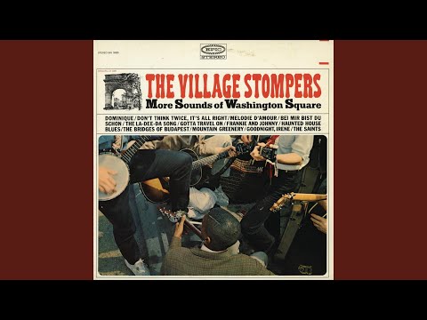 The Bridges of Budapest