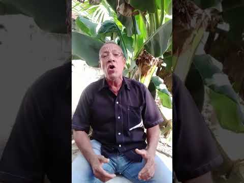 TU, SOLO TU. LUIS CAMACHO. GUANARITO PORTUGUESA.