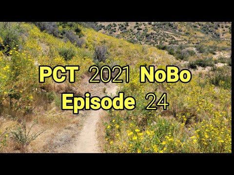 Pacific Crest Trail 2021 - Episode 24 | Insights