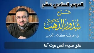 صورة الدرس الحادي عشر من شرح شذور الذهب - أنس عزت آغا