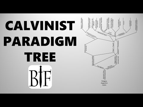 Calvinist Paradigm Tree