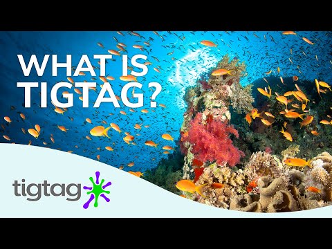 What is Tigtag? – Primary Science Teaching Resources