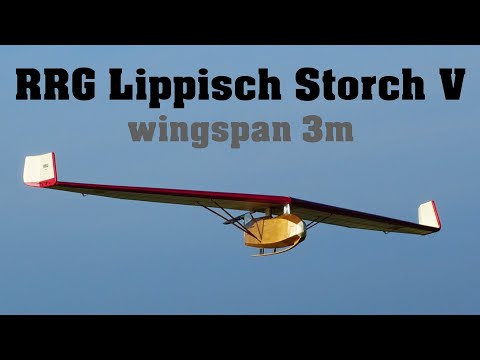 RRG Lippisch Storch V | scale RC flying wing | 4K | 2023