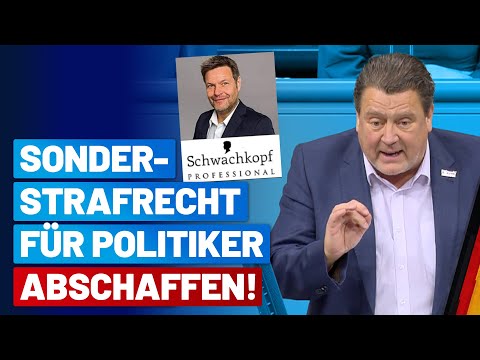 §188 StGB ist einem Rechtsstaat unwürdig!  Stephan Brandner - AfD-Fraktion im Bundestag