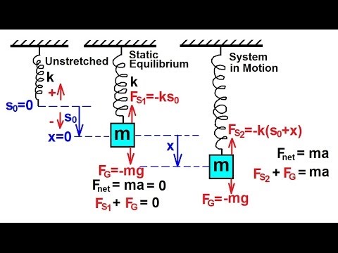 Physics CH 16.1 Simple Harmonic Motion with Damping (8 of 20) Fundamentals