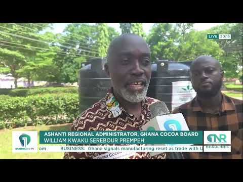 Ashanti SHSs Welcome Govt Plan to Introduce Cocoa Farming in Schools