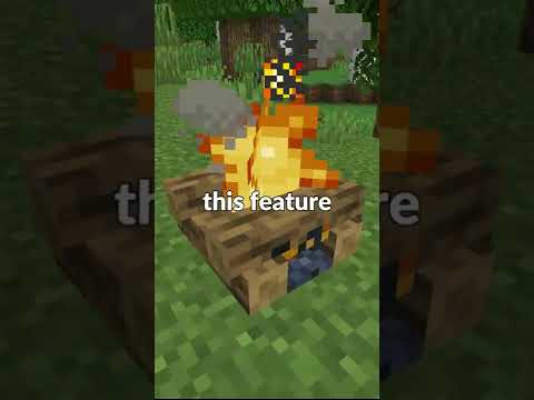 Minecraft campfire secret feature...