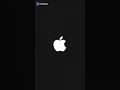 Iphone Notification Tone