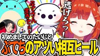 【切り抜き】初めましてのたいじとのアツい相互ヒールに爆笑するぷてち【ラトナ・プティ/TQQ/あっさりしょこ/すもも/たいじ/OW2/にじさんじ】