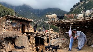 This Family Lives on a Mountain Peak Far From Civilization 🏔️ | Their Food Will Amaze You 🏡❤️