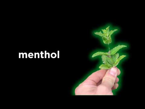 DIY Menthol Extraction From Garden Peppermint