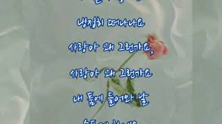 구윤회  ➿  사랑아 왜 그런가요     (가사)