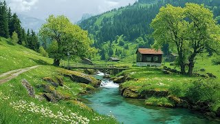 Download lagu Relaxing Piano & Violin 🌿 Music Heals The Heart & Blood Vessels, Restores The Nervous System mp3
