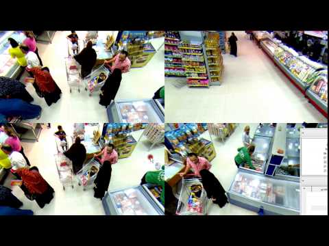 GeoVision Fisheye IP Camera Egypt