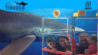 DIA 3 Expo Tiburon144