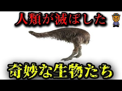 グリプトドン科 - 定義